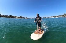 Flitescooter Efoil Experience in Noosa