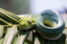 Featherdale Wildlife Park with Exclusive Private Transfers