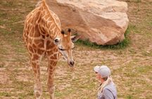 Featherdale Wildlife Park with Exclusive Private Transfers