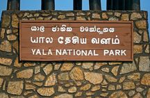 Yala National Park Safari From Hambantota Port