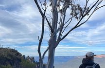 Private Blue Mountains Eco Day Tour
