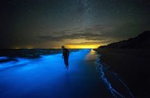 Grand Cayman Bioluminescent Bay Tour 