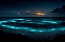 Grand Cayman Bioluminescence Adventure