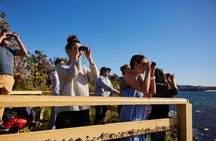 Private Sydney Snorkeling Experience: Explore Cabbage Tree Bay