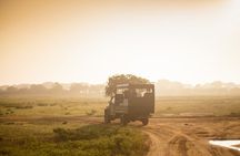 From Ella: Private Yala Safari & Transfer/Tangalle/Mirissa/Galla