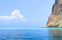 Yilan Day Tour Whale Watching Cruise and Animal Farm