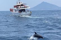 Yilan Day Tour Whale Watching Cruise and Animal Farm