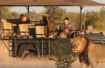 Chobe Safari Day Trip – From Livingstone