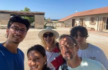 Paestum Orientation Tour 