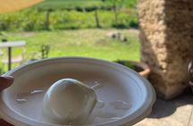 Paestum Orientation Tour 