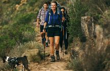 Table Mountain Guided Hike-epic adventure for all fitness levels