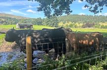 Full Day Private Stirling and Highland Day Tour