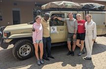  8 Day Serengeti Safari During the Calvin Season