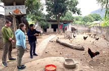 Ninh Binh Mua Cave Trang An Hoa Lu with Local Farmer House Visit