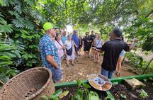 Coffe Tour and Chorotega Cultural Experience on the Blue zone 