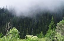 Full Day Guided Shared Tour in Vardzia, Rabati and Borjomi 