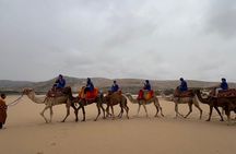 Safari Camel Ride in Banana Beach from Agadir