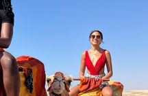 Safari Camel Ride in Banana Beach from Agadir