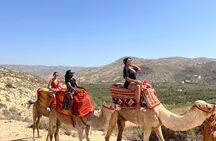 Safari Camel Ride in Banana Beach from Agadir