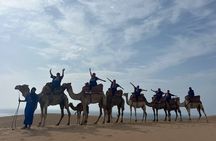 Sunset Camel Ride tour with Barbecue dinner in the beach