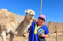 Sunset Camel Ride tour with Barbecue dinner in the beach