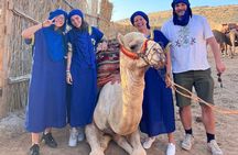 Sunset Camel Ride tour with Barbecue dinner in the beach