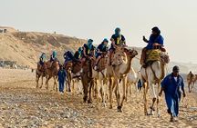 Sunset Camel Ride tour with Barbecue dinner in the beach