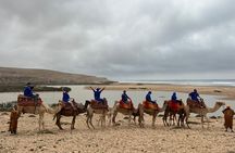 Camel Tour : 2 hours camel ride in Agadir
