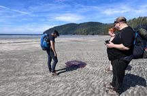 STUNNING San Josef Bay Tour in Cape Scott Provincial Park