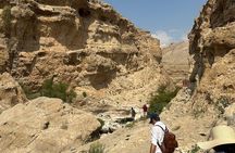 Oman’s Hidden Gems Private Full Day Wahib Sands &Wadi bani Khalid