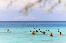 Aruba Kayak Explorers