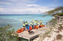 Aruba Kayak Explorers
