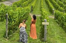Hudson Valley Wine and Food Day Trip with Sommelier host from NYC