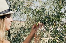 3-Day Mendoza Enchanted Vine Retreat With Optional Airfare