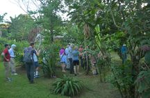 Organic Farm Tour with Sugar Cane Grinding and Lunch