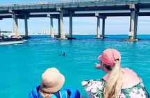 Fall/ Winter Destin Harbor Sightseeing Dolphin Cruise