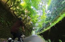 Exploring Arashiyama in a small group? E-bike tour is perfect!