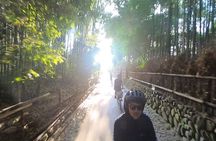 Exploring Arashiyama in a small group? E-bike tour is perfect!