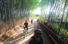 Exploring Arashiyama in a small group? E-bike tour is perfect!