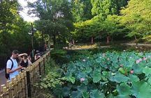 ONLY AUG! Perfect Arashiyama day by E-BIKE in private!