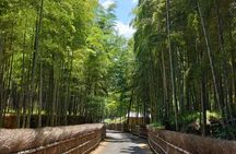 Kyoto Sakura & Hidden Gems of Timeless Tradition