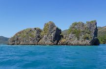 East End Tour (Mangroves, Punta Gorda, Port Royal) with Snorkeling Option