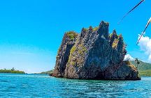 East End Tour (Mangroves, Punta Gorda, Port Royal) with Snorkeling Option