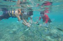Private Guided Snorkeling Tour in Gili Nanggu Sudak and Kedis