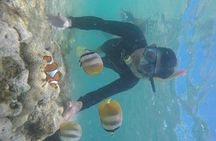 Private Guided Snorkeling Tour in Gili Nanggu Sudak and Kedis