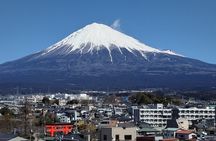 Shiraito Falls and Mt. Fuji Heritage Centre /C-G