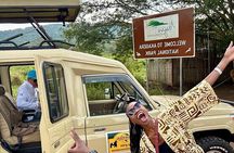 Full Day Shared Akagera Safari Tour with Lunch and Coffee