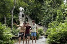 Half Day Chiangmai Bua Tong Sticky Waterfall Tour