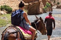 Dades Gorge & Roses valley Trekking with Mules or Donkeys 