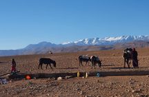 Hike & Overnight With Nomads Families